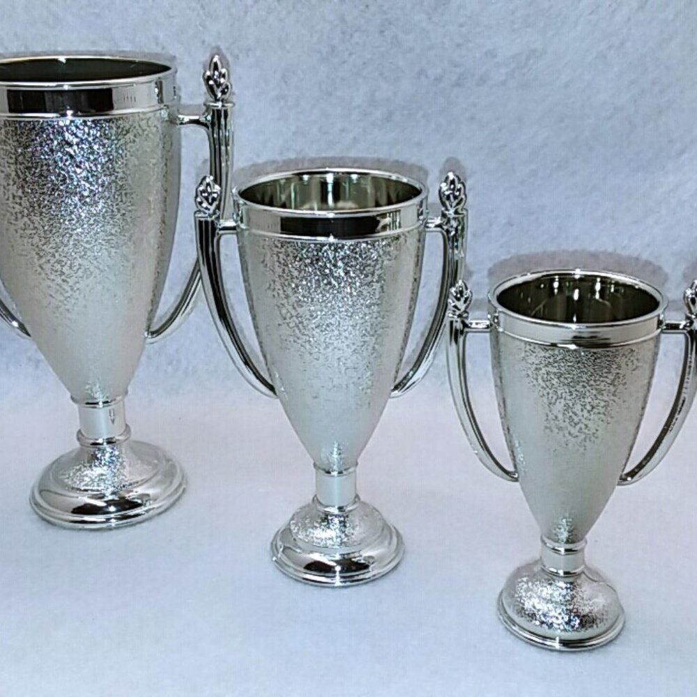 COPY - 3 New Plastic Silver Trophy Award Cups